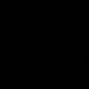 Meet your Posher, Perla